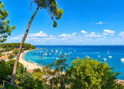 Villa avec piscine et vue sur le bassin au Pyla-sur-Mer