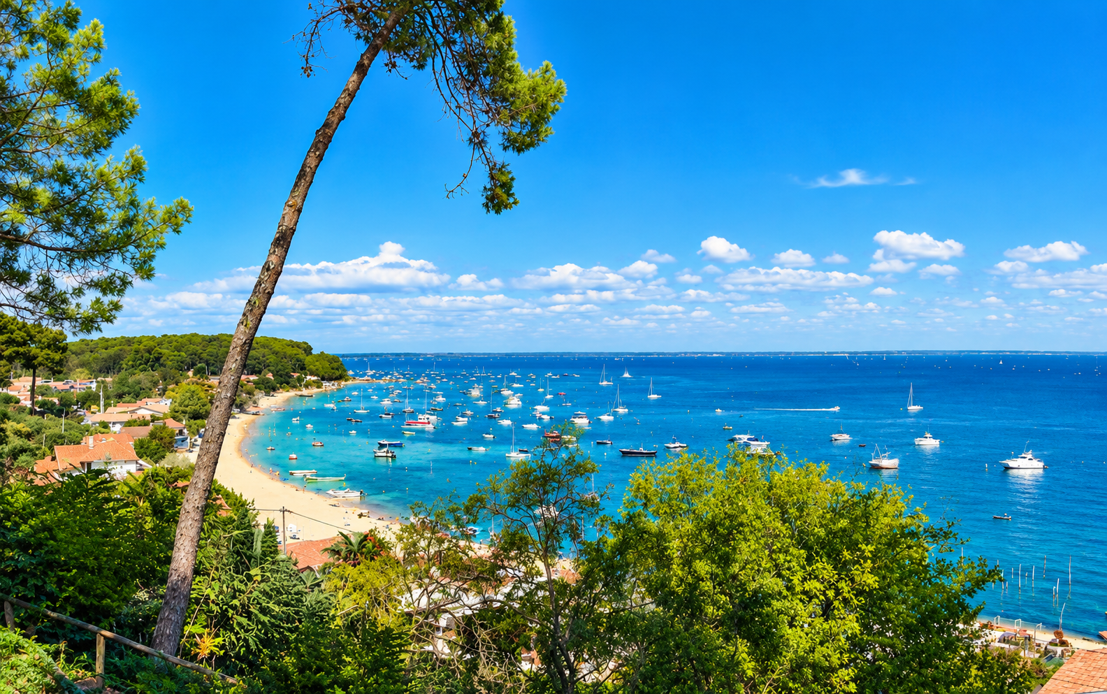 Villa avec piscine et vue sur le bassin au Pyla-sur-Mer