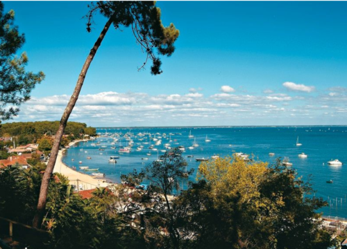 Pyla-sur-Mer, 3 km de la Teste-de-Buch, villa avec magnifique vue sur le bassin, calme, position dominante, piscine